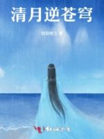 清月逆苍穹的封面
