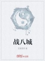 战八城的封面