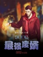 崛起吧最强废婿的封面