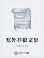 塞外苍狼文集的封面