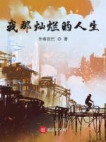 我那灿烂的人生的封面