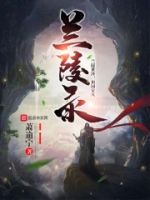兰陵录的封面