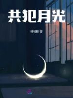 共犯月光的封面