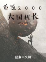 重返2000:大国机长的封面