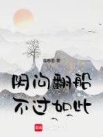 阴沟翻船不过如此的封面