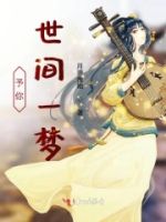 予你世间一梦的封面