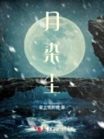 月染尘的封面