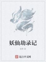 妖仙劫录记的封面