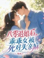 八零退婚后,乖乖女被死对头亲麻的封面
