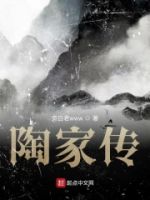 陶家传的封面