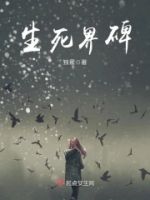 生死界碑的封面