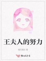 王夫人的努力的封面