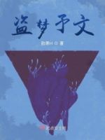 盗梦予文的封面