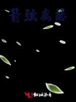 箭弦离瑟的封面