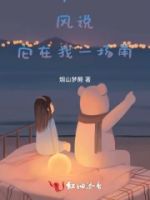 风说,它在找一场雨的封面