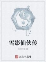 雪影仙侠传的封面