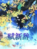 赋新辞的封面