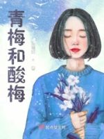 青梅和酸梅的封面