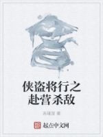 侠盗将行之赴营杀敌的封面