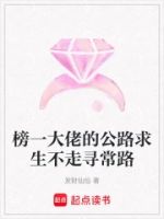 榜一大佬的公路求生不走寻常路的封面