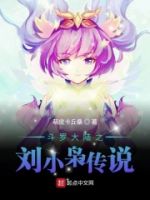 斗罗大陆之刘小枭传说的封面