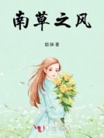南草之风的封面