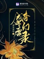 盛唐奇幻录的封面
