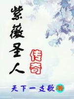 紫薇圣人传奇的封面