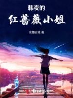 韩夜的红蔷薇小姐的封面