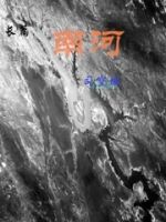 长篇南河的封面