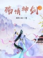 殇情神剑的封面