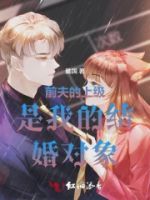前夫的上级是我的结婚对象的封面