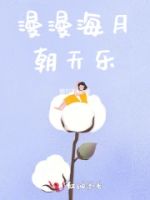 漫漫海月朝天乐的封面