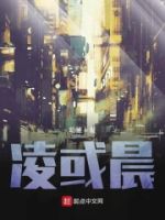 凌或晨的封面