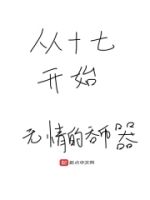 从十七开始的封面