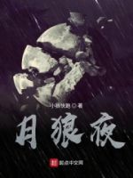月狼夜的封面
