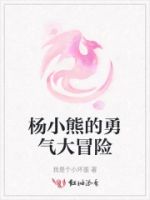 杨小熊的勇气大冒险的封面