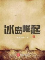 冰岛崛起的封面