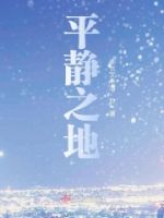 平静之地的封面