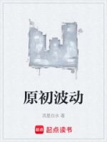 原初波动的封面