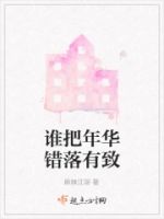 谁把年华错落有致的封面