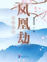 天命归之凤凰劫的封面