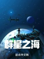 群星之海的封面