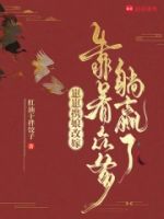 崽崽携娘改嫁,靠着众爹躺赢了的封面