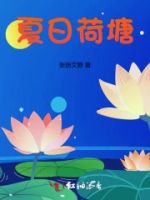 夏日荷塘的封面
