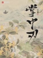 掌中刃的封面