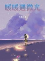 暖暖遇微光的封面