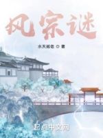 风宗谜的封面
