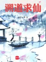 溯道求仙的封面