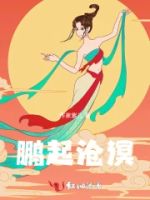 鹏起沧溟的封面